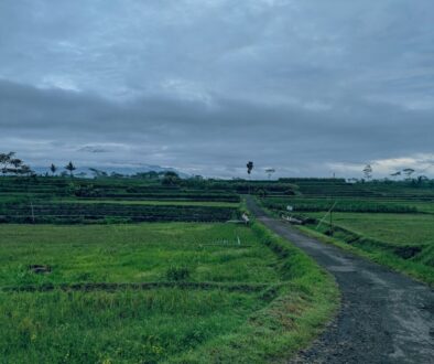 Czy internet na wsiach to tylko światłowód?