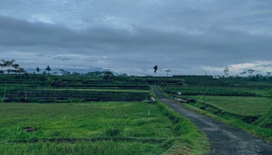 Czy internet na wsiach to tylko światłowód?