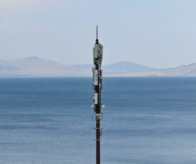 Sieć komórkowa sami swoi - co warto wiedzieć o tym operatorze