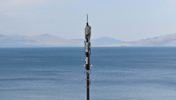 Sieć komórkowa sami swoi - co warto wiedzieć o tym operatorze