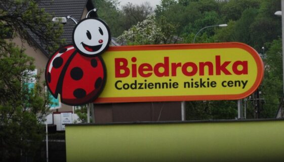 Komórki w Polsce - od A do Z, historia i rozwój