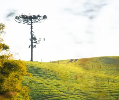 Jak wybrać internet na wsiach - porównanie technologii i dostawców