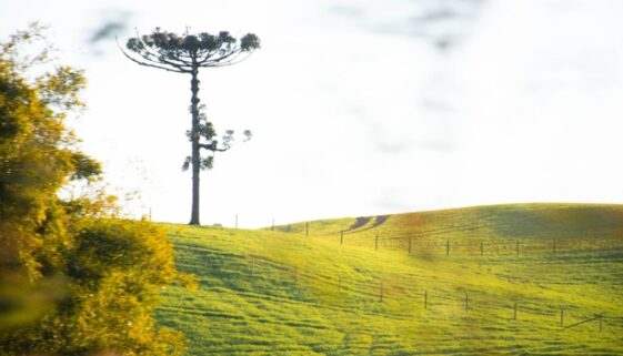 Jak wybrać internet na wsiach - porównanie technologii i dostawców